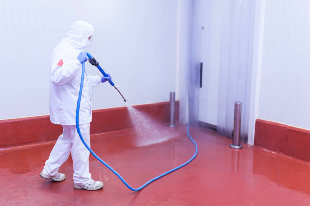 Best Patio and Deck Pressure Washing  in Dryden, MI